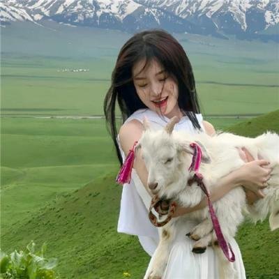 东海道四谷怪谈 在线观看封面